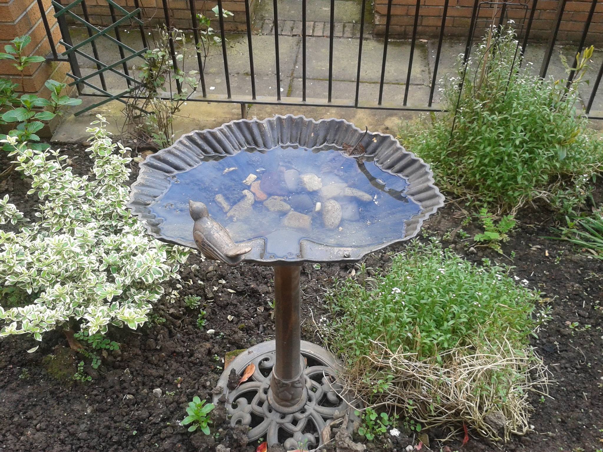 Sheltered Housing Gardens