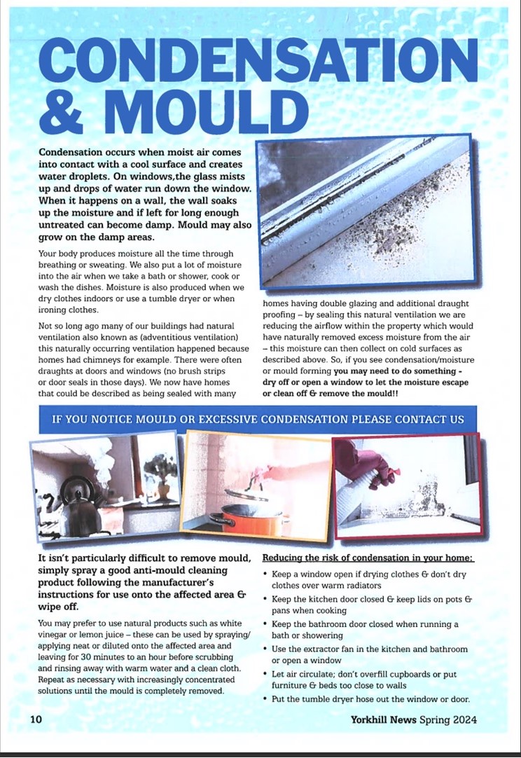 Spring 2024 Condensation and Mould Newsletter Excerpt